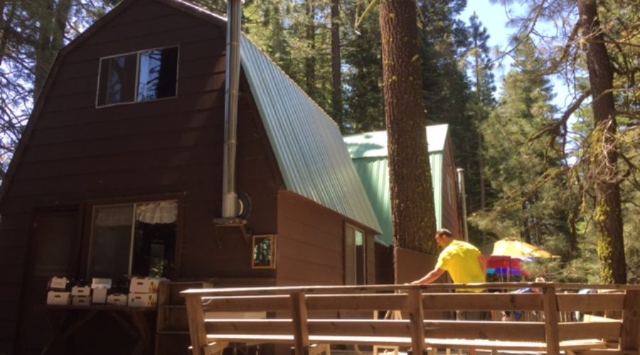 If Cabins Could Talk