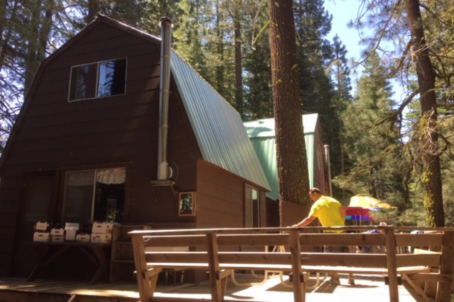A Message from the Cabin